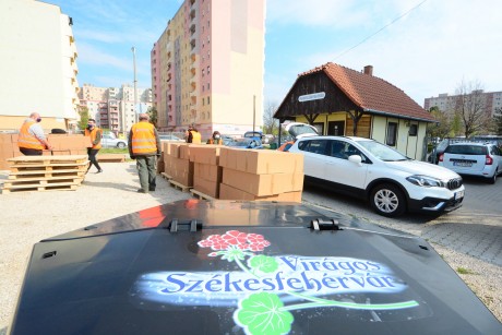 Virágos Székesfehérvár – mintegy 700 komposztkeretet osztott ki a Városgondnokság